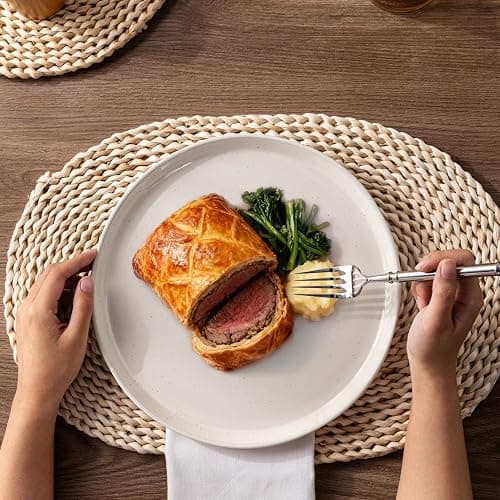 AmorArc Ceramic Dinnerware Sets, Handpainted Plates and Bowls Set with Rustic Terracotta Underside, Scratch Resistant Stoneware Dishes Set, Dishwasher & Microwave Safe thumbnail 6