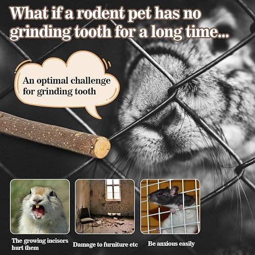 Sukh Natural Organic Apple Sticks - 250g Hamster Chew Stick Hams Rabbit Bunny Gerbil Guinea Pig Squirrel Chinchilla Small Animal Chew Sticks thumbnail 4