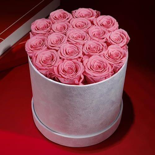 Prifroti 17 Flowers in a Luxury Suede Box, Birthday Gifts for Women, Preserved Flowers, Mothers Day Roses Gift for Mom, Light Pink thumbnail 6