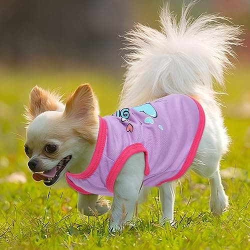 4 Pieces Chihuahua Clothes Dog Clothes for Small Dogs Girl Puppy Shirts for Yorkie Soft Cute Pattern Dog Shirt Pet Cat Clothing Pink (XX-Small) thumbnail 2