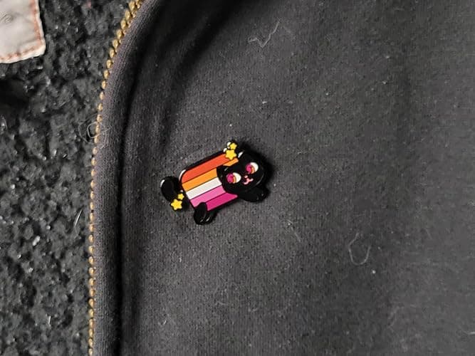 Nyan Cat Pride Enamel Pin The Meme Kitty in Rainbow Trans Pansexual Bisexual Lesbian Asexual Nonbinary Aromantic Pride Flag Colors lgbtq+ thumbnail 7