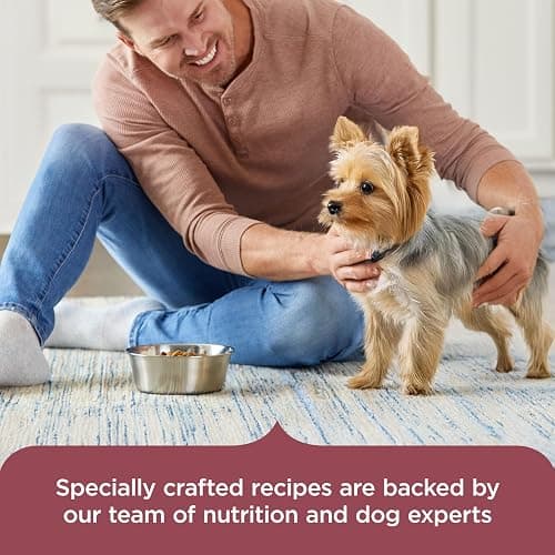 Nutrish Small Breed Dry Dog Food with Chicken, 5 lb. Bag (Rachael Ray) | Suitable for Small Adult Dogs, Veterinarian Reviewed Formula, Made with No Artificial Flavors thumbnail 6