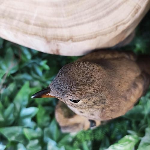 Vivid Arts Oiseaux du jardin (Grive chantante) thumbnail 9