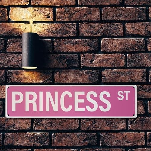 MOLESS 16x4″ Princess Street Sign, Princess Room Decor, Pink Y2K, 2482 | Princess Wall Decor & Decorations; Cute Pink Street Sign Poster; Girly Bedroom, Dorm & Apartment Decor; Teen Room Accessories thumbnail 6
