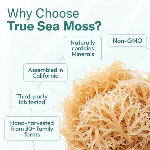 TrueSeaMoss Sea Moss Gel – Made in USA – Wildcrafted Seamoss, Fruits & Jarred Vegetables – Blue Spirulina, Pack of 1 (Labels may Vary) | No Sugar, Vegan, Non-GMO, GMP, Gluten-Free, Halal – Wildcrafted Seamoss, Fruits & Jarred Vegetables – Vitamins & Minerals thumbnail 7