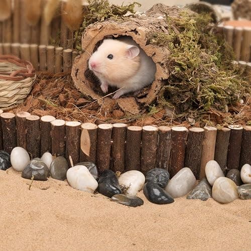 Niteangel Hamster Suspension Bridge Toy - Long Climbing Ladder for Dwarf Syrian Hamster Mice Mouse Gerbils and Other Small Animals (25.6L x 2.8W) thumbnail 4