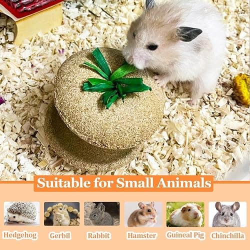 Jwizyotr 2PCS Hamster Chew Toys for Teeth Guinea Pig Treats Hamster Stuff Cage Accessories for Chinchilla Guinea Pig Rat thumbnail 7