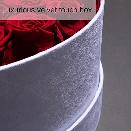 50 Piece Roses in a Velvet Box, Flowers for Delivery, Presereved Flowers Birthday Gifts for Women Mom and Wife (Radiant Pink) thumbnail 4