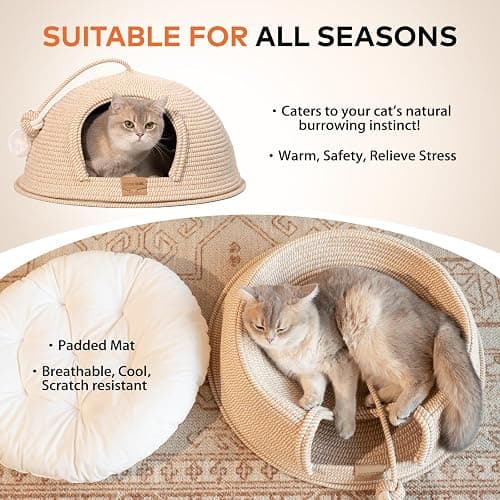 CHEERPALS Cat Cave Bed for Indoor Cats, 3 in 1 Cat House with Washable Cushion and Ball, Scratcher Bed, Cute Rope Bed for Kittens and Large Cat(White) thumbnail 2