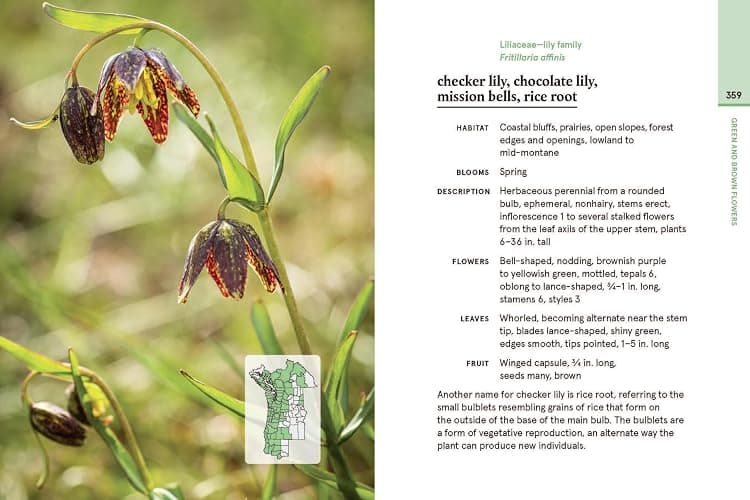 Western Washington and Oregon in Bloom: Find and Identify the 150 Most Common Wildflowers thumbnail 7