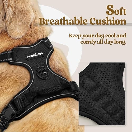 rabbitgoo Dog Harness, No Pull for Large Dogs with 2 Leash Clips, Pet Vest | No Choke with Handle, Adjustable Soft Padded, Reflective, Easy Control for Walking, Black, Large thumbnail 2