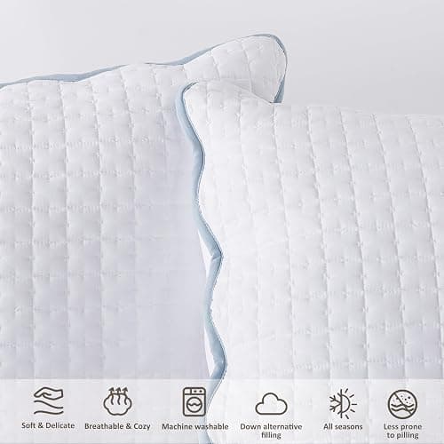 WDCOZY White Queen Size Quilt Bedding Set, Scalloped Farmhouse Country Rustic Lightweight Soft Coverlet, Cute Cozy Kantha Pick Stitch Bedspread, 2 Pillow Shams, Blue Edge White Stitching thumbnail 4