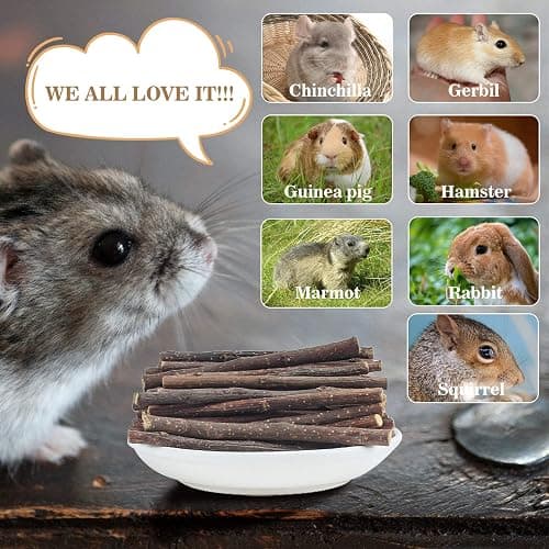 Sukh Natural Organic Apple Sticks - 250g Hamster Chew Stick Hams Rabbit Bunny Gerbil Guinea Pig Squirrel Chinchilla Small Animal Chew Sticks thumbnail 6