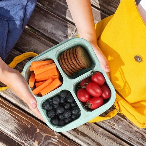 TurtingAs Snack Containers, 4 Pack Reusable Bento Snack Box, 4 Compartments Meal Prep Lunch Containers for Kids Adults, Divided Food Storage Containers for School Work Travel thumbnail 8