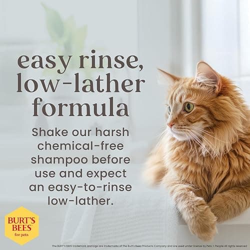 Burt's Bees for Pets Tearless Kitten Shampoo with Buttermilk and Honey, 99% Natural Origin Gentle Cat Shampoo for Sensitive and Itchy Skin, pH Balanced and Fragrance-Free, 10 Fl Oz thumbnail 4