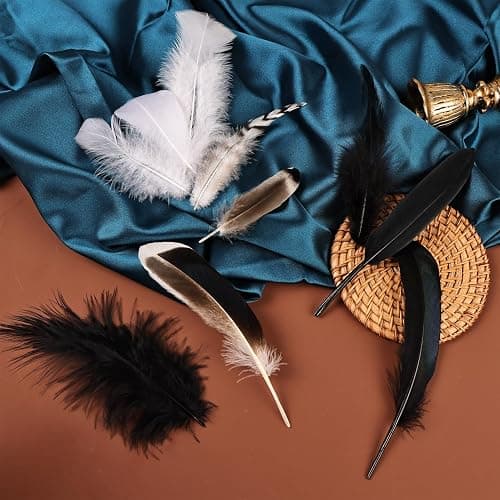 FeelfunFeather 300 pcs Small Feathers - 10 Style Mixed Spotted Decorative Natual Pheasant Feather for DIY Crafts Clothing Jewelry Hair Decoration(Natural,Black,White) thumbnail 4