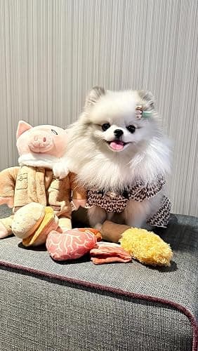 Nocciola Stuffed Pig Dog Toys: Funny Squeaky Crinkle Dog Chew Toys for Small Medium Breed, Plush Puzzle Cognitive Training Pet Enrichment Supplies, Hide and Seek Dog Christmas Stocking Stuffers thumbnail 9