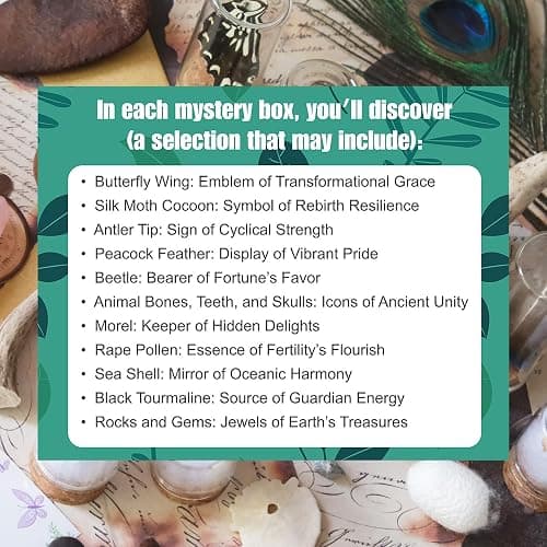 10Pcs Mystery Natural Oddities Collection Box - Real Fossils, Crystals & Taxidermy in Glass Vials | Dark Academia Decor for Adults & Kids | Witchy Curio Cabinet Decor | Unique Gifts for Science Lovers thumbnail 7