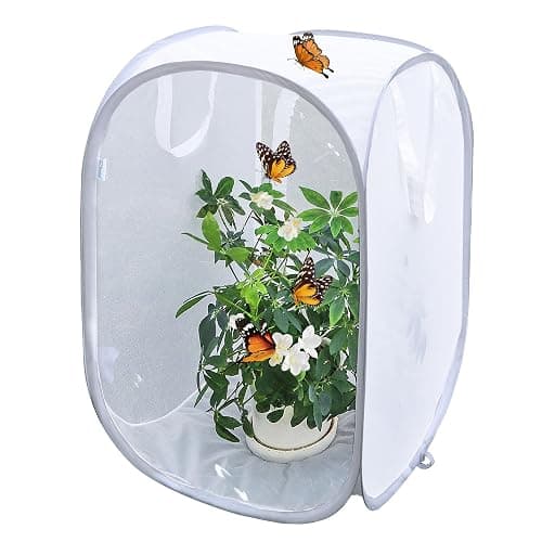 Pop-up Insect and Butterfly Habitat Cage Terrarium Clear Mesh Enclosure - 16" x 16" x 24" - Image 1
