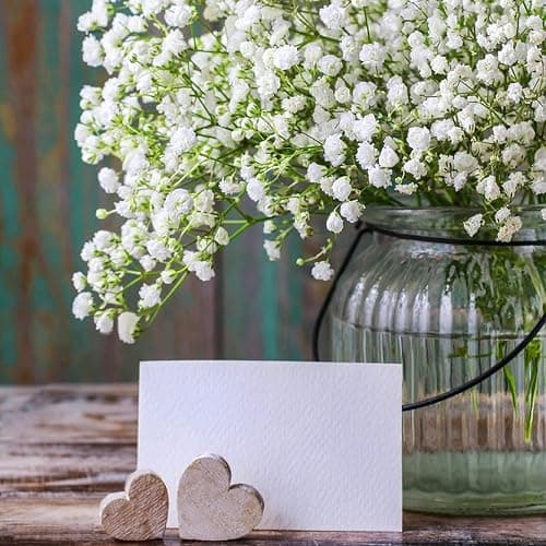 Sukh 10PCS Baby Breath Artificial Flowers Fake Babys Breath Gypsophila Flowers Bulk Realistic Artificial Flowers Bouquet Flores Artificiales para Decoracion for Wedding Party Home Decoration thumbnail 2