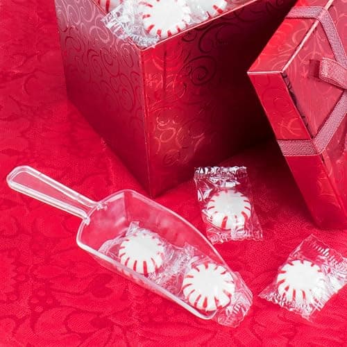 Super Z Outlet 5.5" Mini Acrylic Plastic Kitchen Scoops for Weddings, Candy Dessert Buffet, Ice Cream, Protein Powders, Coffee, Tea (Clear) thumbnail 2
