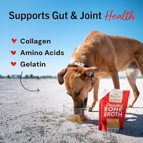Stella & Chewy's Premium Cage-Free Chicken Bone Broth for Dogs - Joint & Gut Health Support Liquid Food Topper with Collagen & Turmeric, 16 Fl Oz Resealable Pouch thumbnail 7