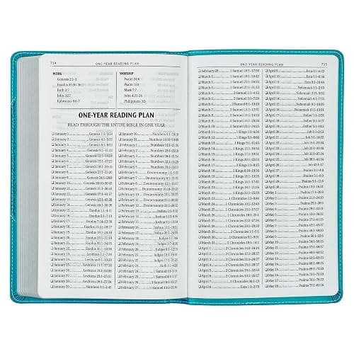 KJV Holy Bible, Gift Edition for Girls/Teens King James Version, Faux Leather Flexible Cover, Teal Butterfly (KJV Gift Editions) thumbnail 6