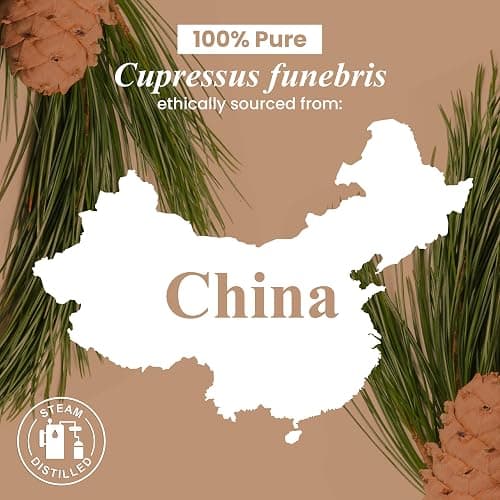 Handcraft Blends Cedarwood Essential Oil – Huge 4 Fl Oz – 100% Pure and Natural – Premium Grade Essential Oil for Diffuser and Aromatherapy, Skin, Massage, Candle and Soap Making Fragrance thumbnail 7