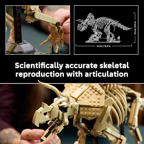 LEGO Jurassic World Dinosaur Fossils: Triceratops 77985 | Building Set for Adults, Ages 18+, Posable Dinosaur Fossil Display, Bedroom or Home Office Decor, 1154 pieces, Gift Ideas thumbnail 4
