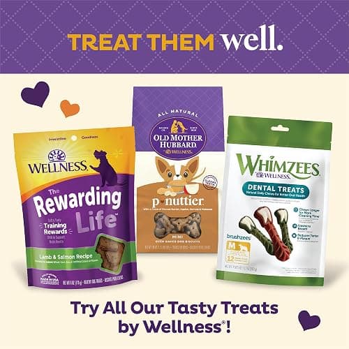 Old Mother Hubbard Wellness Training Bitz Assorted Mix Dog Biscuits, Natural, Training Treats, Three Flavors, Small Size, (8 Ounce Bag) thumbnail 8