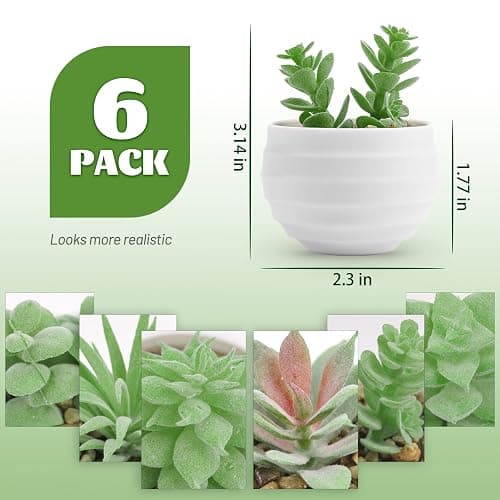 Der Rose Set of 6 Succulents Plants Artificial in Pots Small Fake Plants for Bedroom Aesthetic Living Room Office Shelf Bathroom Decor - White Pots-6 Green thumbnail 3