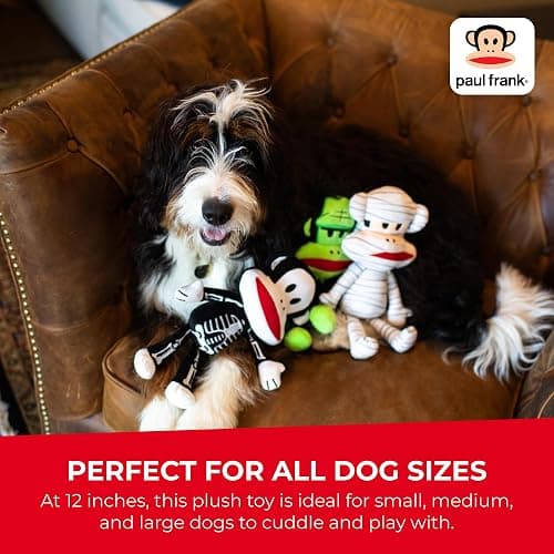 Multipet Paul Frank's Julius The Monkey Dog Plush Toy - Squeaky Toy for All Dogs - Extra Soft Plush - Stuffed Animal for Cuddling & Playing (10") thumbnail 7