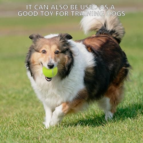 SHYUJAJIE Tennis Balls, 20 Pack Training Tennis Balls,High Elasticity Practice Tennis for Beginner, Exercise Playing Balls for Pet Dog thumbnail 9