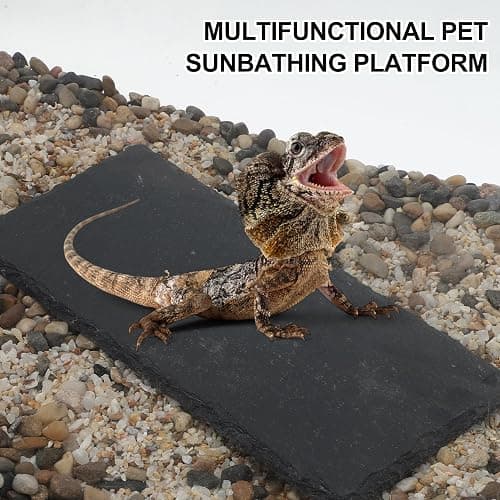 CAPASTEC Reptiles Slate Rocks, Basking Surface Reptile Basking Platform, Enhances Climbing Activity, 7.87"x3.94", Black Gray thumbnail 2