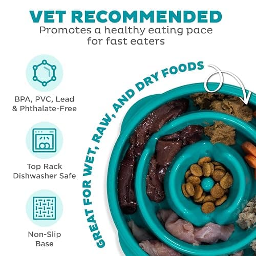 Outward Hound Medium Slow Feeder Bowl, Puzzle Maze for Fast Eaters, Small to Medium Dogs, Helps Prevent Bloat & Aid Digestion, Holds 2 Cups Wet or Dry Food, Non-Slip, Made Without BPA, Turquoise thumbnail 3