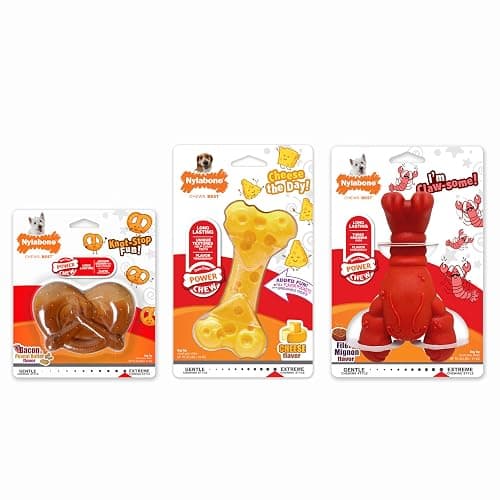 Nylabone Power Chew Toy Bundle, Cute Dog Toys for Aggressive Chewers, Filet Mignon, Cheese, and Bacon Flavors, Small Dogs - Up to 25 lbs, 3 Pack thumbnail 10
