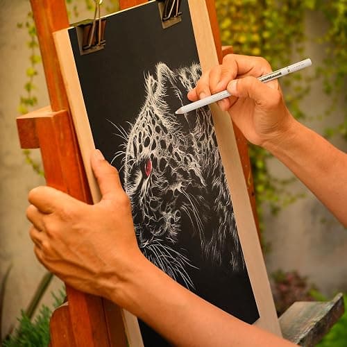 KALOUR White Charcoal Pencils Drawing Set, Professional 6 Pieces White Sketch Pencils for Drawing, Sketching, Shading, Blending, Chalk for Beginners & Artists thumbnail 2
