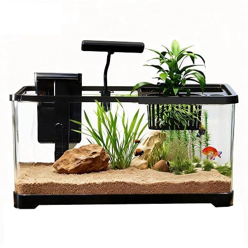 5 Gallon Fish Tank, Aquarium Plastic Starter Kit with Filter, Small Net and LED Light, Fish Tank for Betta, Plastic Nano Aquarium with Lid(18.5 * 7.87 * 8.07 inch/Black) (5 Gallon Fish Tank) - Image 1