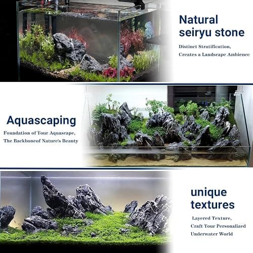 ChaoLeHo Natural Rocks Seiryu Stones Aquariums Stones for Aquascaping, Aquariums, Terrariums, Vivariums Decorative Stone,Reptile Enclosures,Paludariums,and Gardens-10lb（2 to 7 inch） thumbnail 3