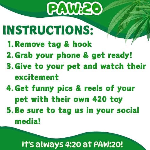 (1 Pack) PAW:20 Bud The Weed Nug plush dog toy w squeaker  thumbnail 8