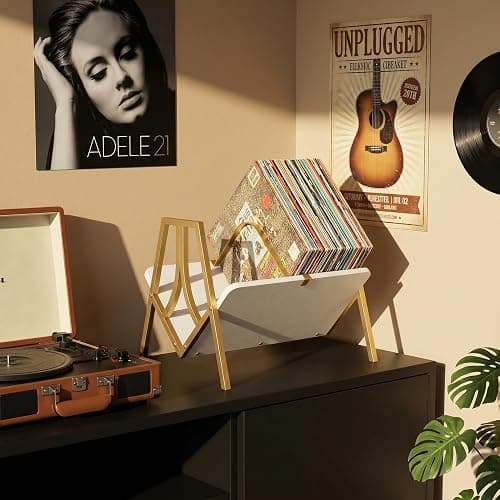 ZEXVIDA Vinyl Record Storage Rack for 50 LPs, Vinyl Record Album Holder Heavy-Duty Record Storage Shelf with Handles, Record Holder, Multi-Purpose Organizer thumbnail 2