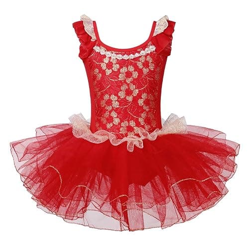 Girls Skirted Leotards Ballet Dance Tutu Princess Dress Ballerina Costumes 3-8Y - Image 1