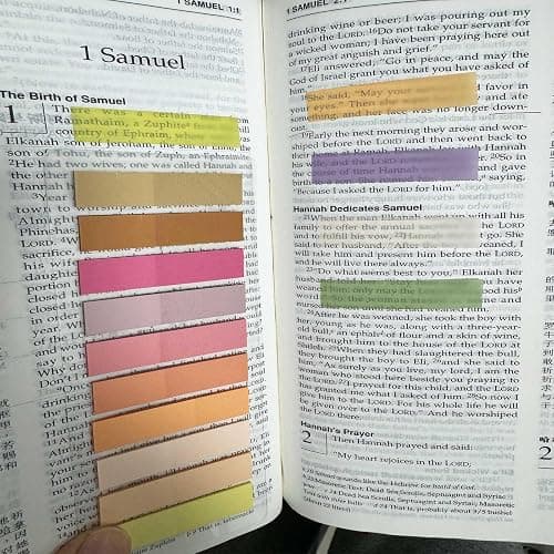 ELII 6000pcs Books Tabs for Annotating Page Tabs Morandi Sticky Index Tabs | Transparent Sticky Notes,Label Stickers,Index Tabs for Reading Notes, Classify File, Writable Repositionable,Bible Study thumbnail 6