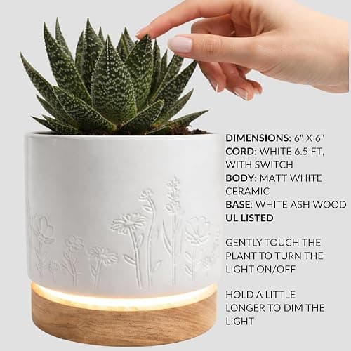 Magic Plantern® | Touch Your Plant to Turn On the Light | Planter Lamp | Unique Plant Lover Gift | Nightstand Ambient Lamp | Succulent Pot with LED thumbnail 6