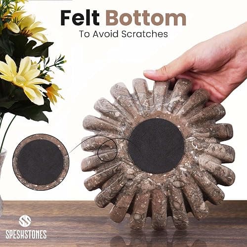 SPESHSTONES Marble Ruffle Bowl 8 Inch Oceanic Stone Large Decorative Fruit Bowl for Kitchen Counter & Dining Table Centerpiece - Modern Fluted and Scalloped Bowls for Christmas Gifts & Home Decor thumbnail 5