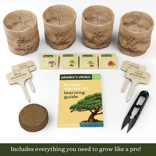 Bonsai Starter Kit thumbnail 3