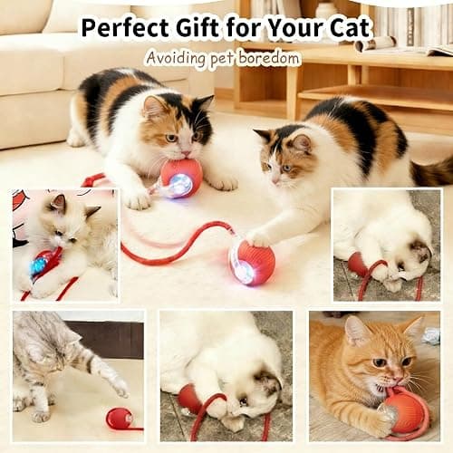Interactive Cat Toy Ball, Automatic Cat Toys for Indoor Cats with 3 Modes | LED Light, 3 Replaceable Tails, Rechargeable Rolling Toy with Smart Sensor for Kittens & Adult Cats,USB Rechargeable thumbnail 5