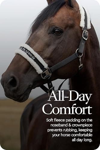 HORZE Howard Soft Fleece Padded Adjustable Polyester Horse Halter - Black - Horse thumbnail 5