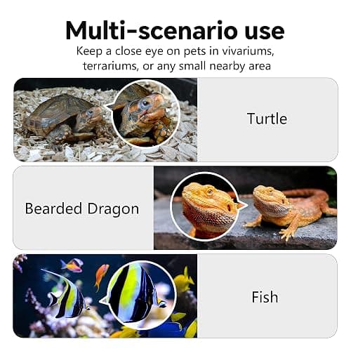 3MP 2K AI Reptile Aquarium Camera, Close-Focus Lens for Fish Tank Terrarium | Angle Magnetic Mount, Dual-Band Wi-Fi 2.4 GHz/5 GHz, 24/7 Recording, Anti-Glare and No Reflection, for Lizards and Snakes thumbnail 6