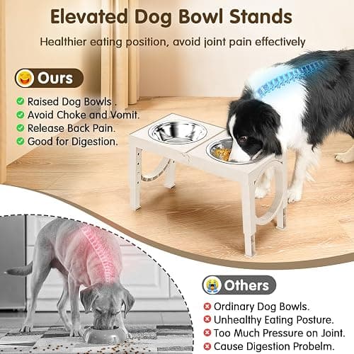XIAZ Elevated Dog Bowls Large Breed Raised Dogs Bowl Stand Large/Medium Sized Dog 1L Food Water Bowl Stands 5 Heights Adjustable 9/11/12/14in White Pet Feeder Dish Station thumbnail 3